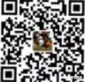篮球封闭训练中的体能提升方案_2